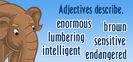 Adjectives