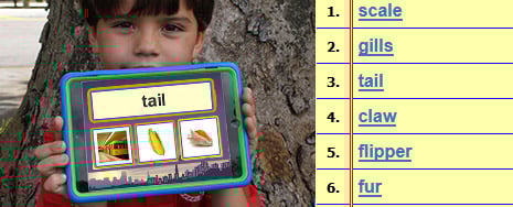 Kindergarten Science